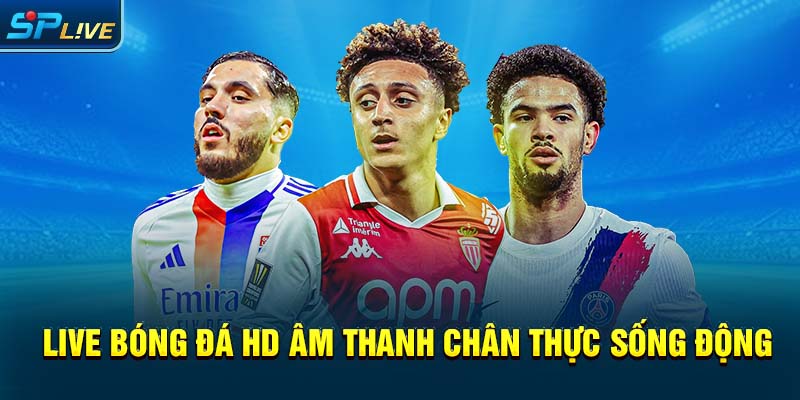 Live bóng đá HD âm thanh chân thực sống động 