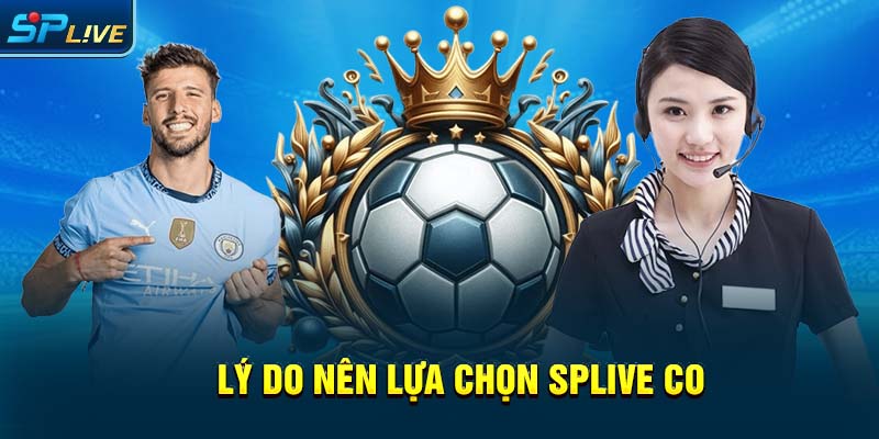 Lý do nên lựa chọn splive co