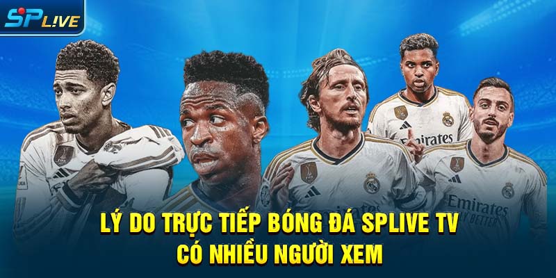 Lý do trực tiếp bóng đá splive tv có nhiều người xem