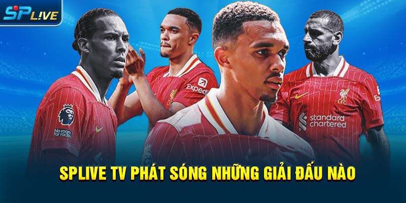 Splive TV phát sóng những giải đấu nào