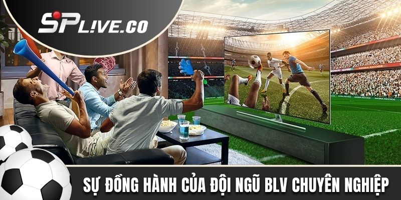 Đội ngũ BLV đồng hành sát sao cùng khán giả