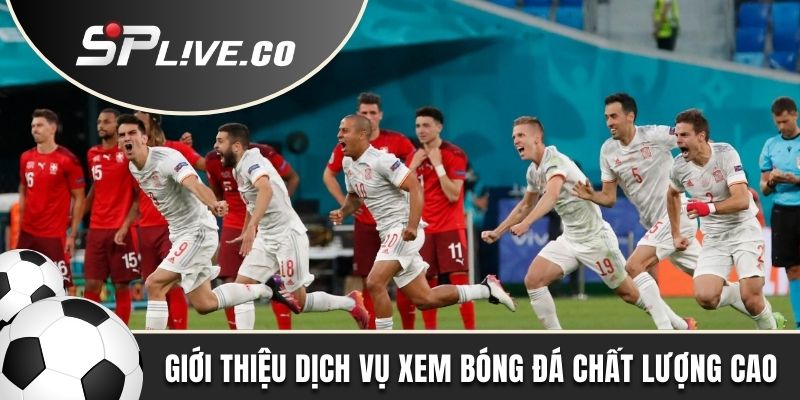 Giới thiệu dịch vụ xem bóng đá chất lượng cao