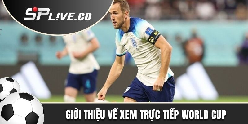 Giới thiệu về xem trực tiếp World Cup tại chuyên trang